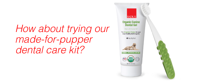 Made for Pupper Dental Care Kit