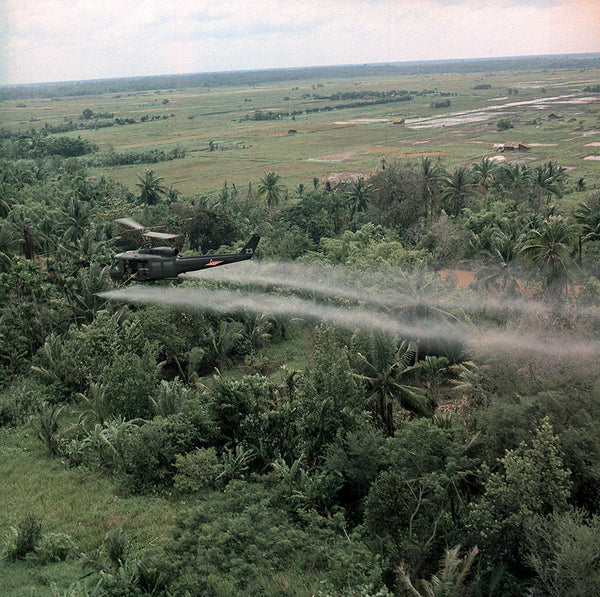 helicopter spraying triclosan pesticide into coconut fields