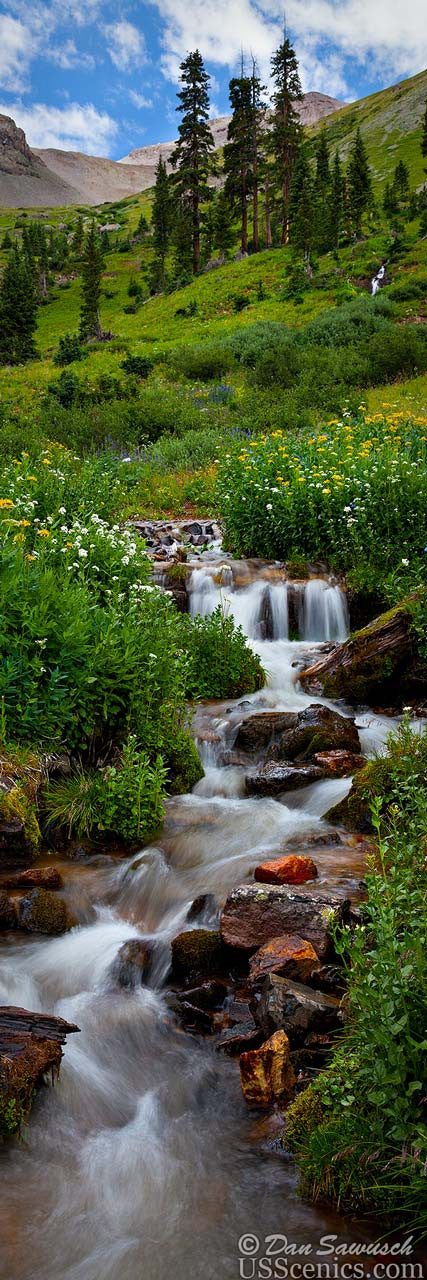 Silken Stream 12x36 Canvas Special