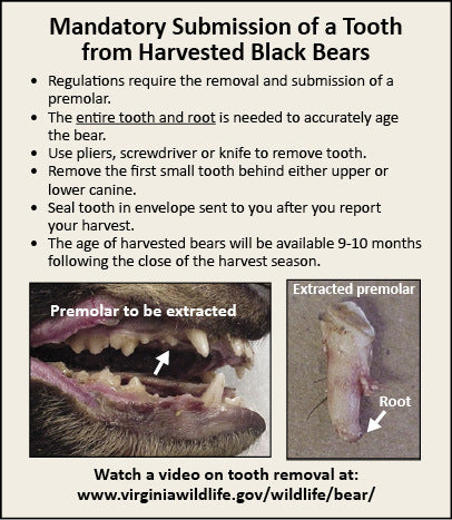 Virginia Bear Hunting Laws & Regulations