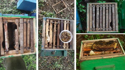 Poor quality and poorly fabricated beeboxes