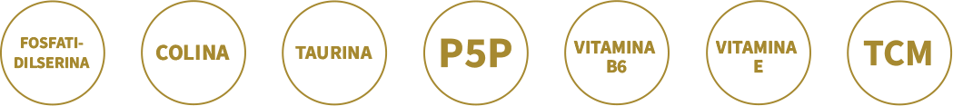 SELOS_DESTAQUES_V2
