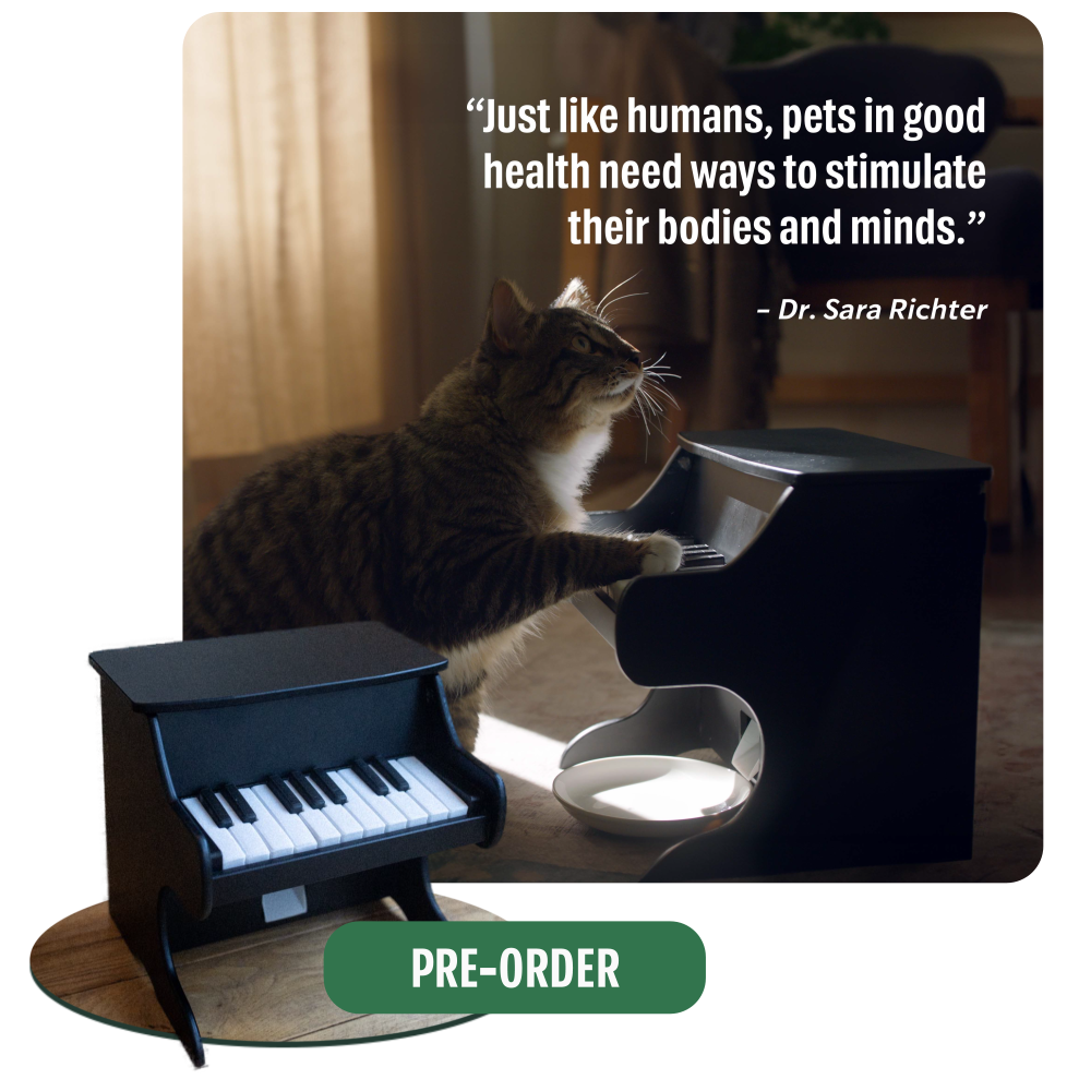 Why Pet Piano?