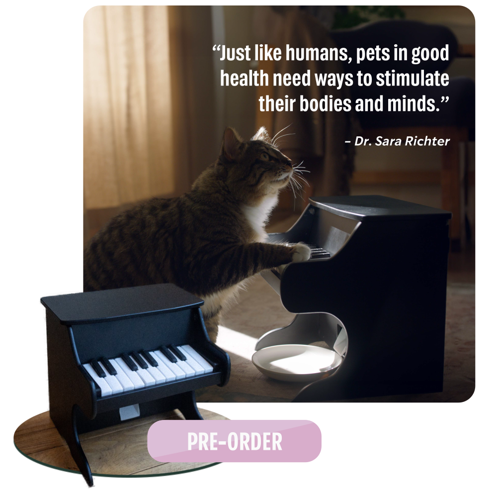 Why Pet Piano?