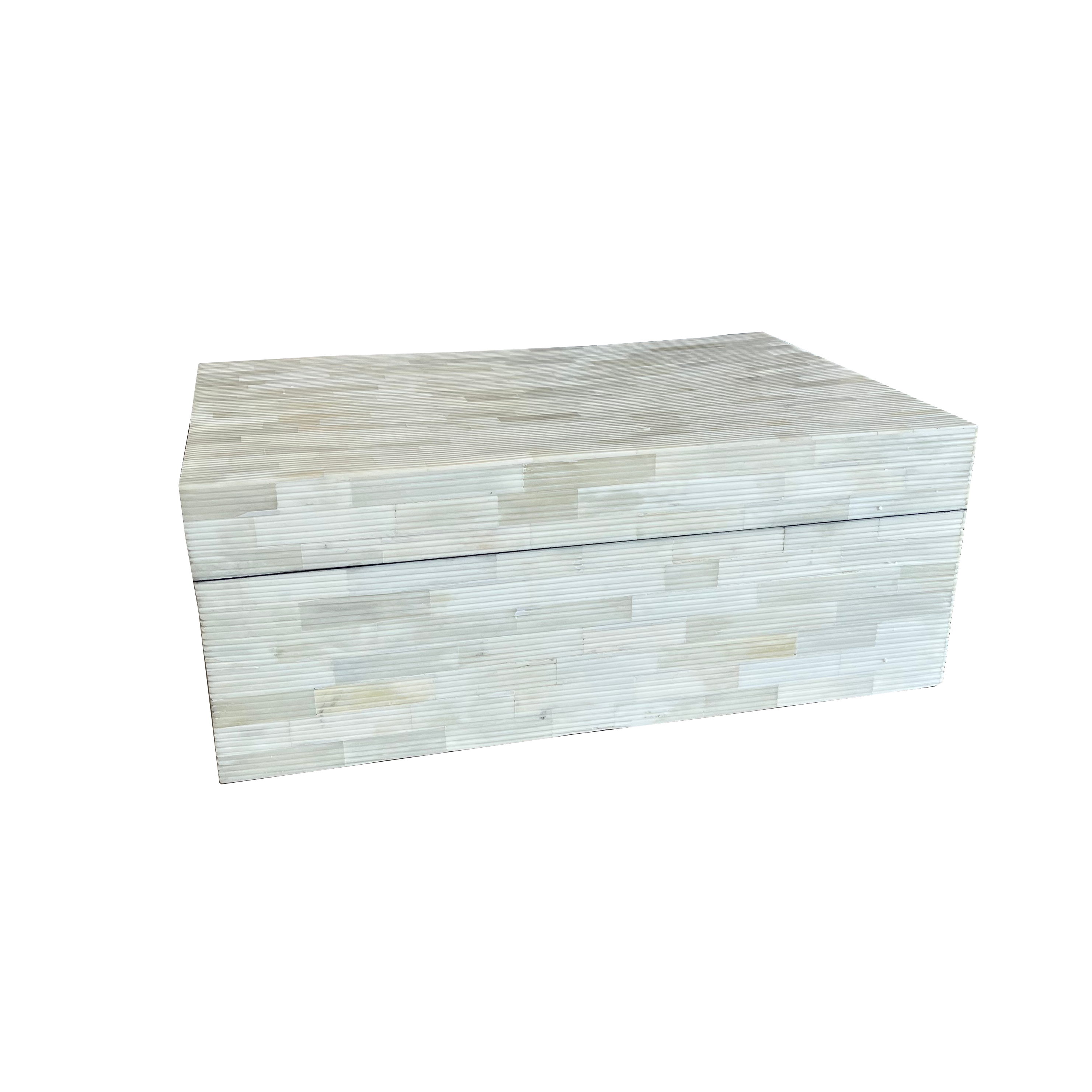 Rectangular Ribbed Bone Bone