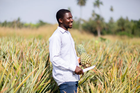 Pineapple farmer in Ghana