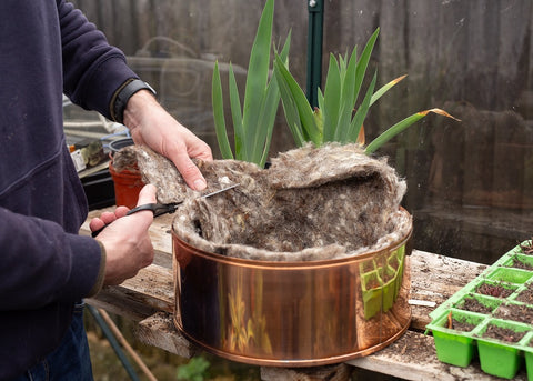 Hortiwool being cut with Scissors in Copper Plant Pot