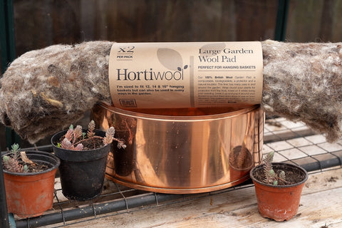 Copper and Green Planter with Hortiwool