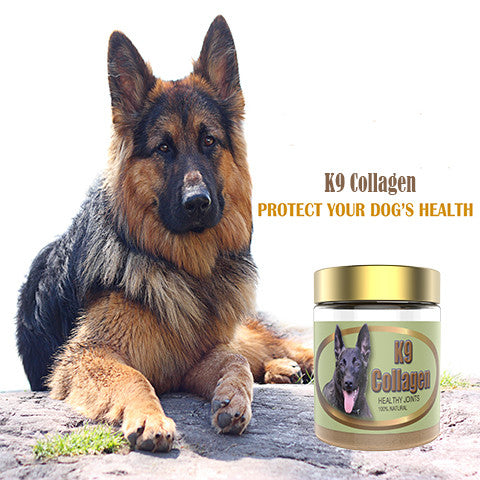 german shepherd hip supplements