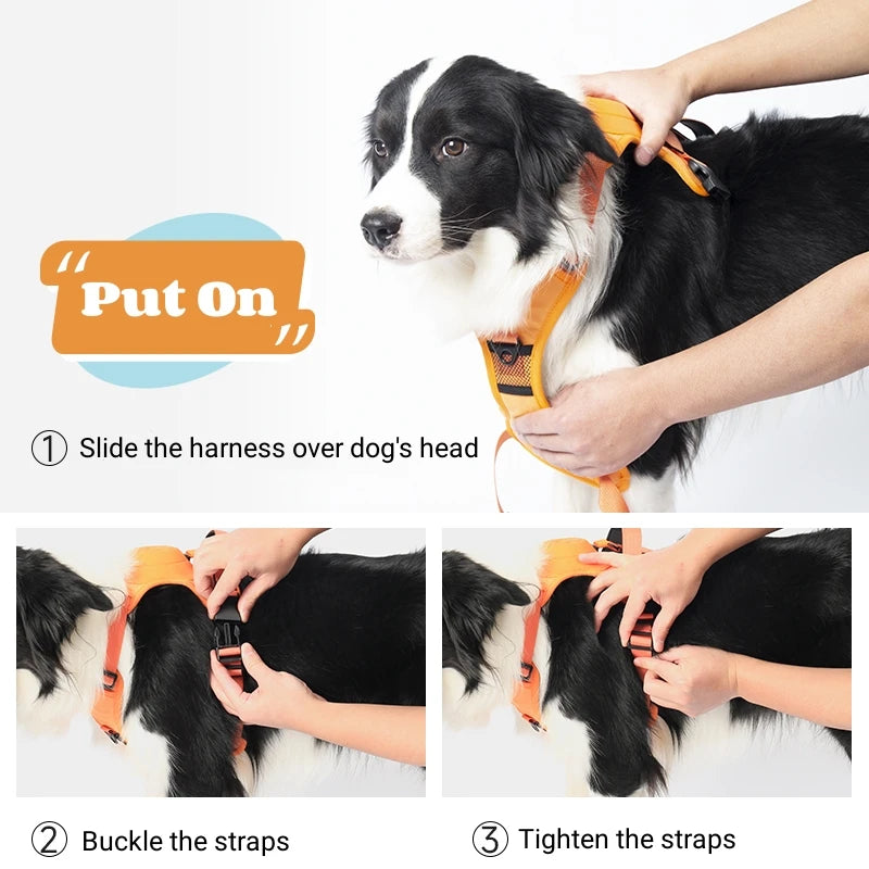 Best Dog Harness with Retractable Leash 2-in-1 No Pull Puppy Harness About Camping