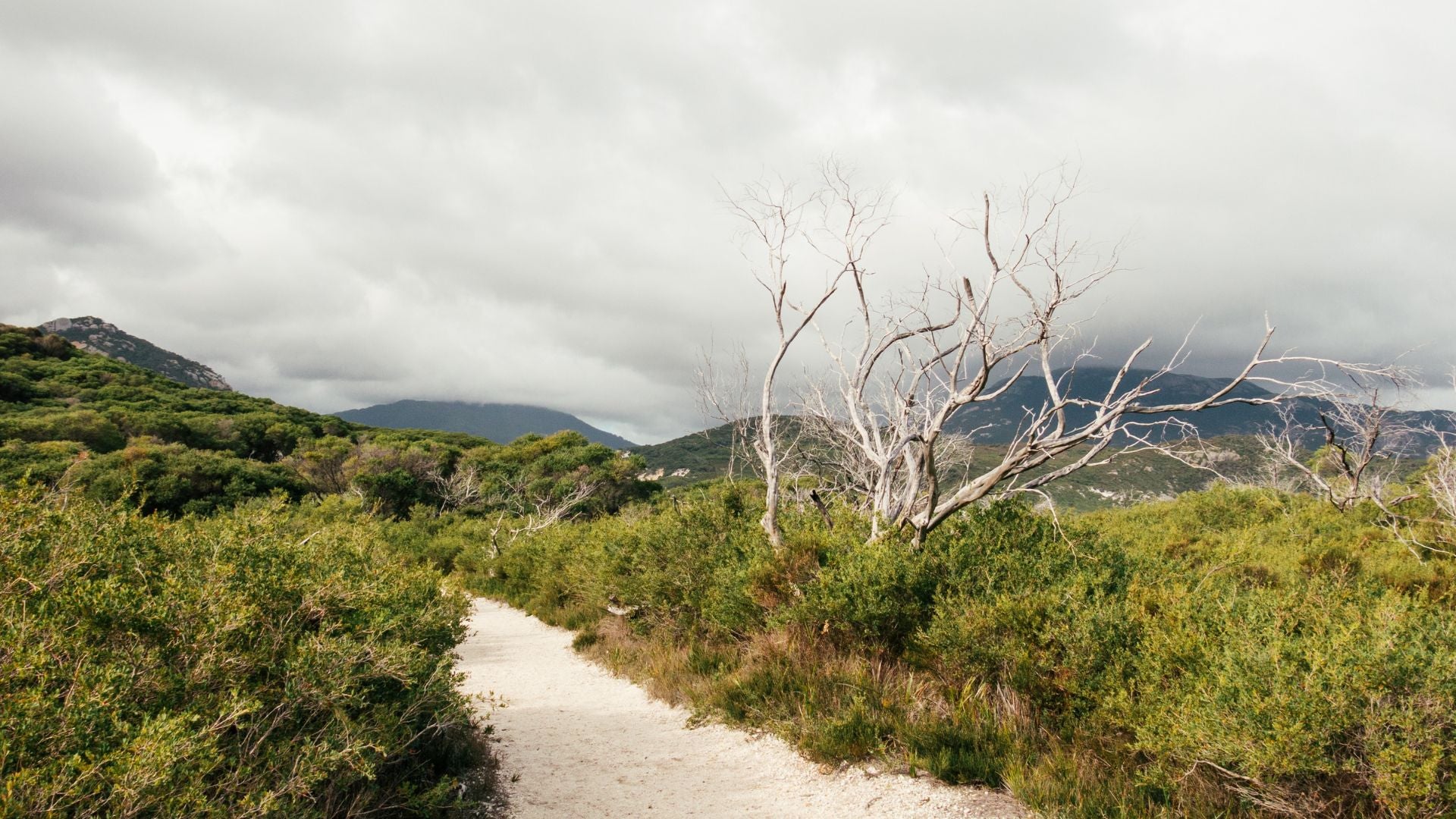 Wilsons Promontory Walks and Hikes