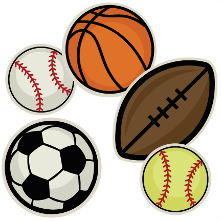 Types of Sports Ball Crazybadman carries – CRAZYBADMAN