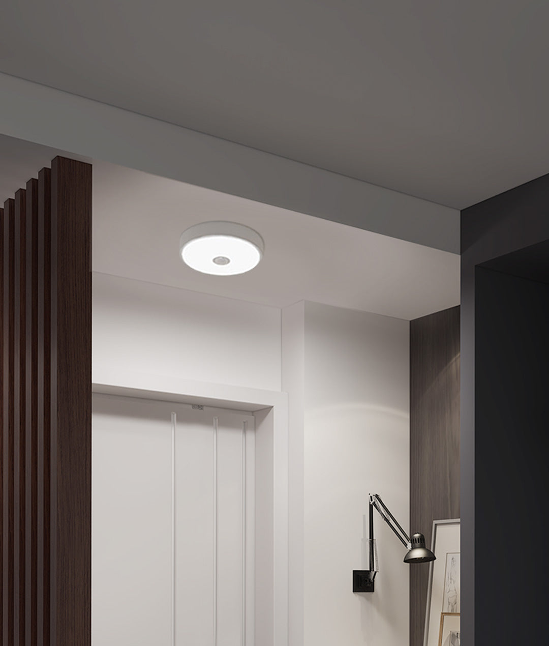 motion sensor ceiling light