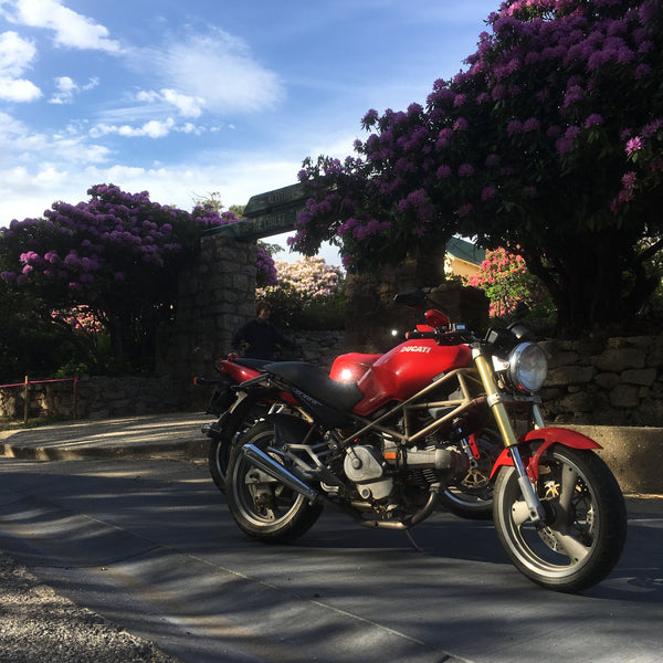 1995 Ducati Monster 400 - Moto Femmes