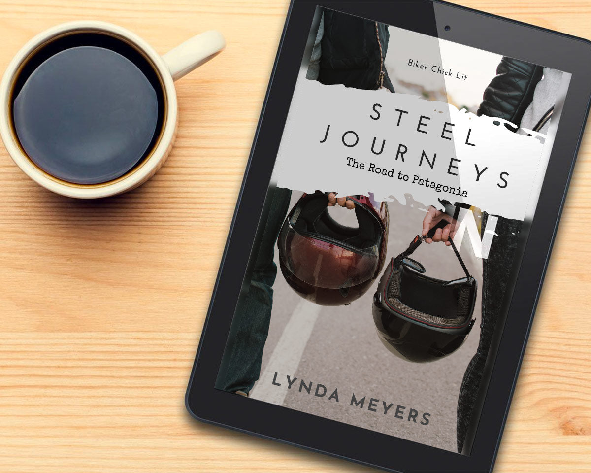 Steel Journeys book by Lynda Meyers