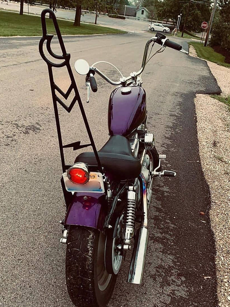 custom built sissy bar for harley sportster