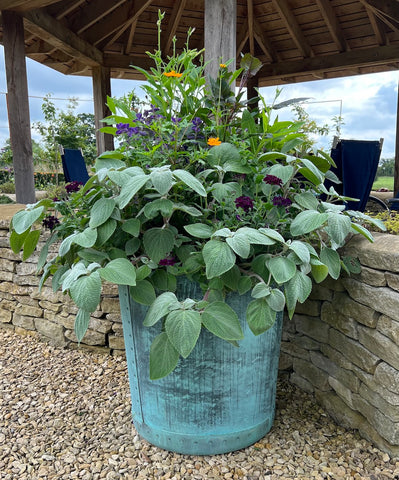A copper planter by the outdoor dining room