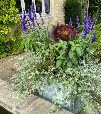 A sumptuous container at Charlton Farm