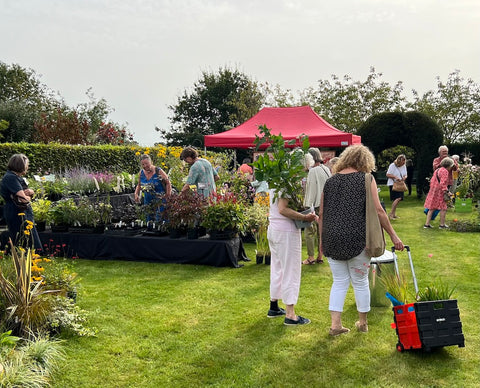 Enthusiastic gardeners snap up the plants on offer