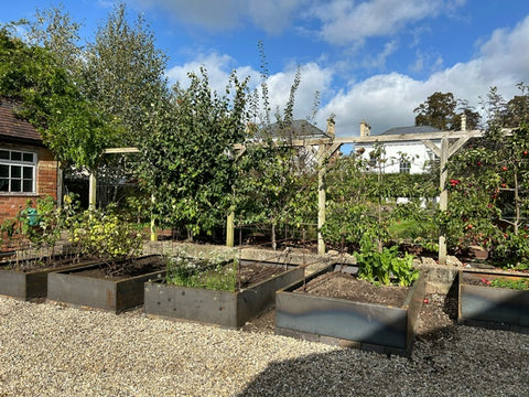 Raised steel beds give definition to the vegetable plot