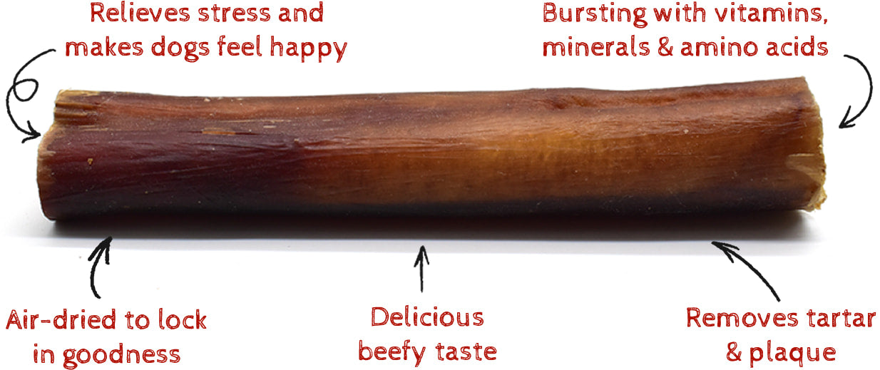 PRIMO Bully Stick Infographic