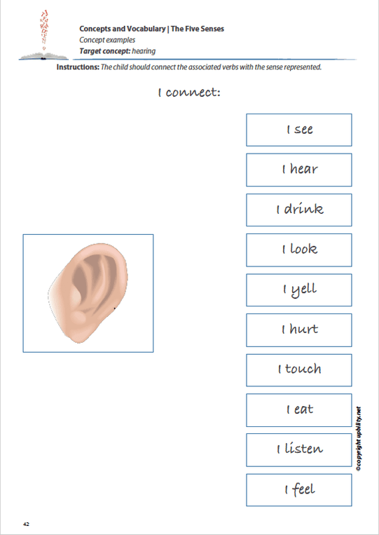 Concepts and vocabulary | THE FIVE SENSES — Upbility Publications