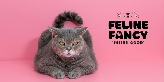 Cat showing tail with Feline Fancy Logo 