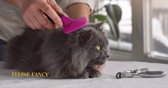 Cat Being Groomed with Feline Fancy Logo.