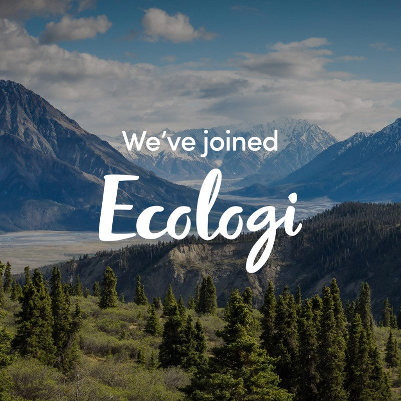 Ecologi joining picture with trees, mountains with a blue cloudy sky