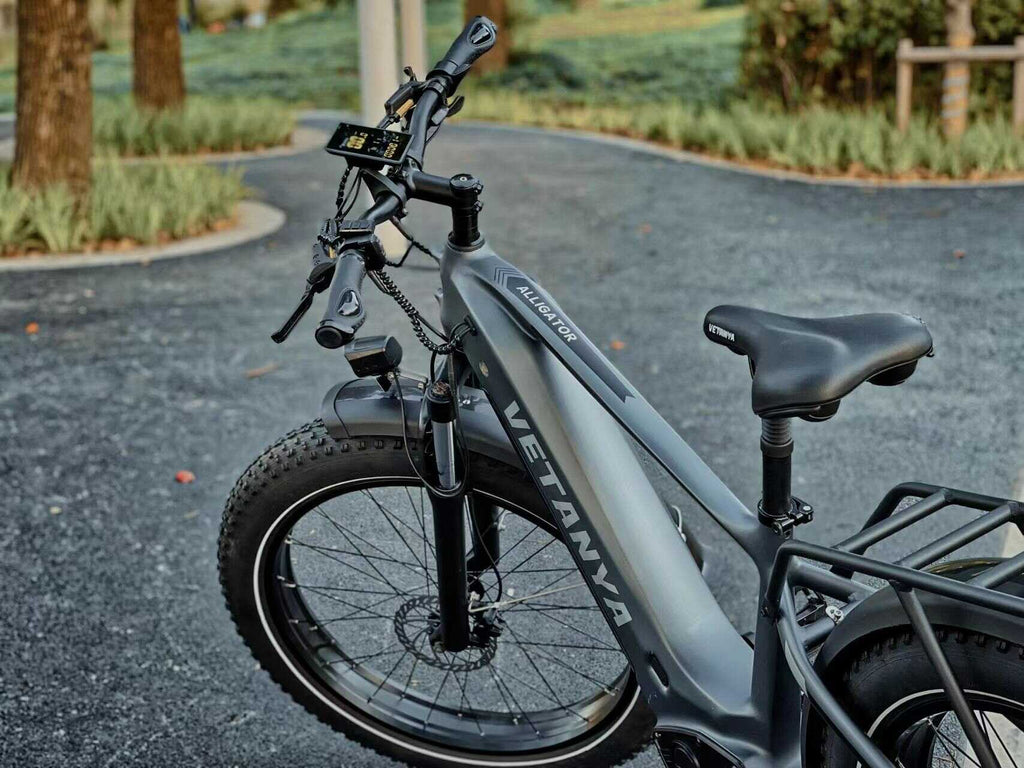 fat tire commute electric bike
