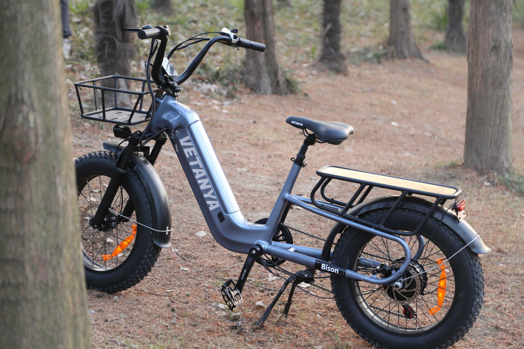 Cargo pedal assist electric bike