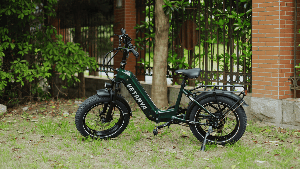 electric bike for adults