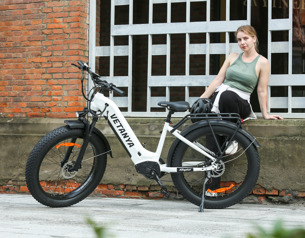 good ebike for heavy person