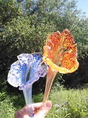 Hand blown glass lilies