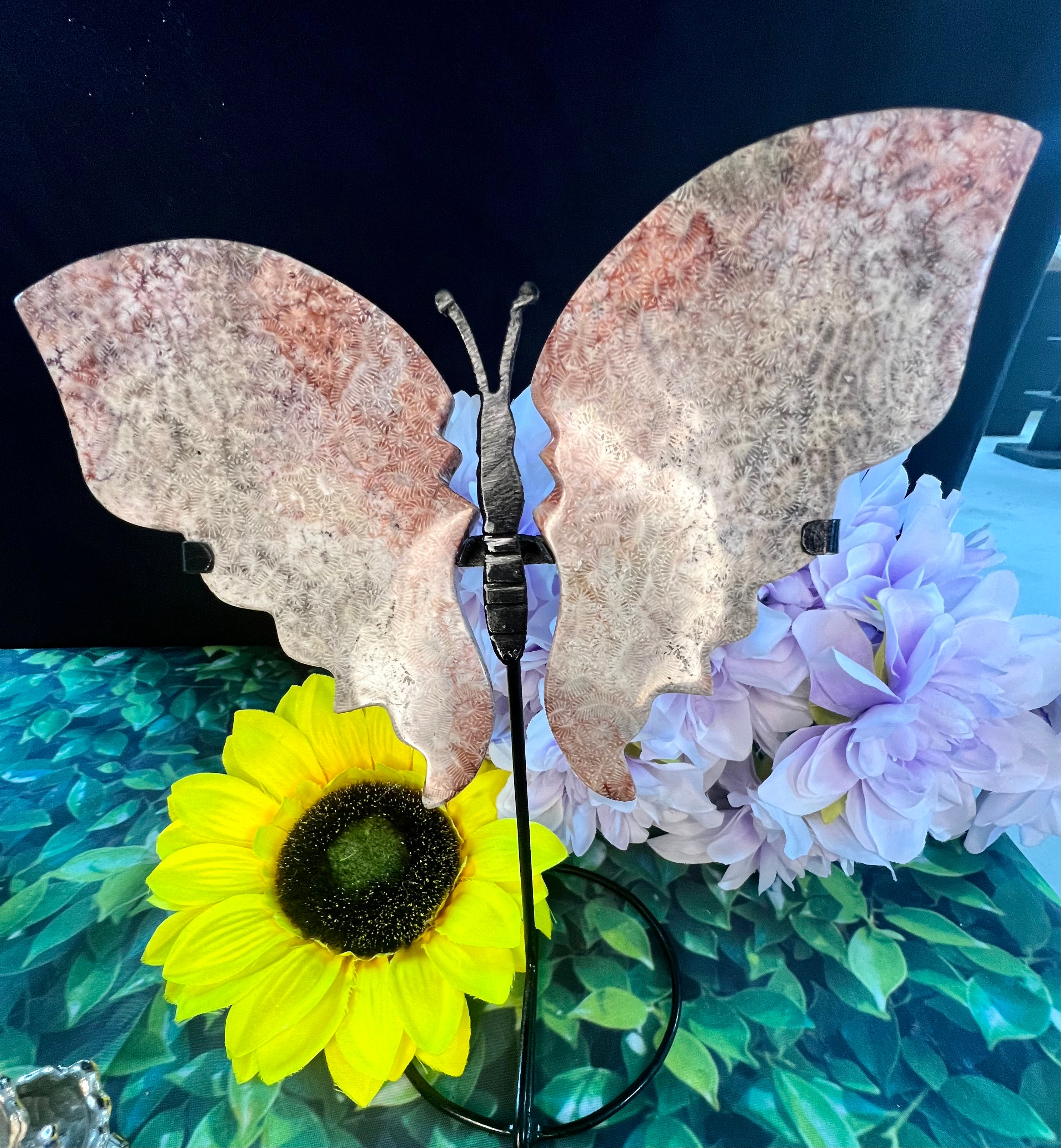 Pink Fossilized Coral Butterfly Wings