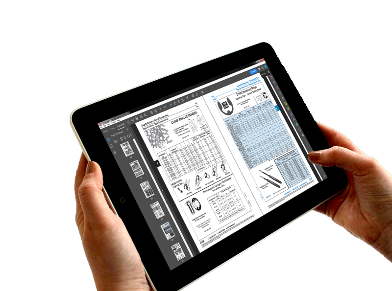 Viewing Spaenaur Catalog on iPad