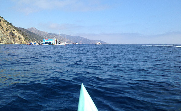 Catalina Paddle