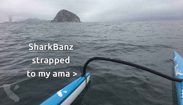 SharkBanz Review