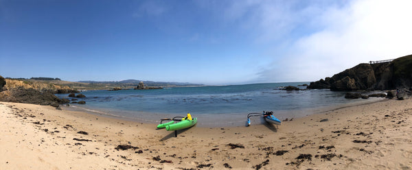 Whaler's Cove Pigeon Point