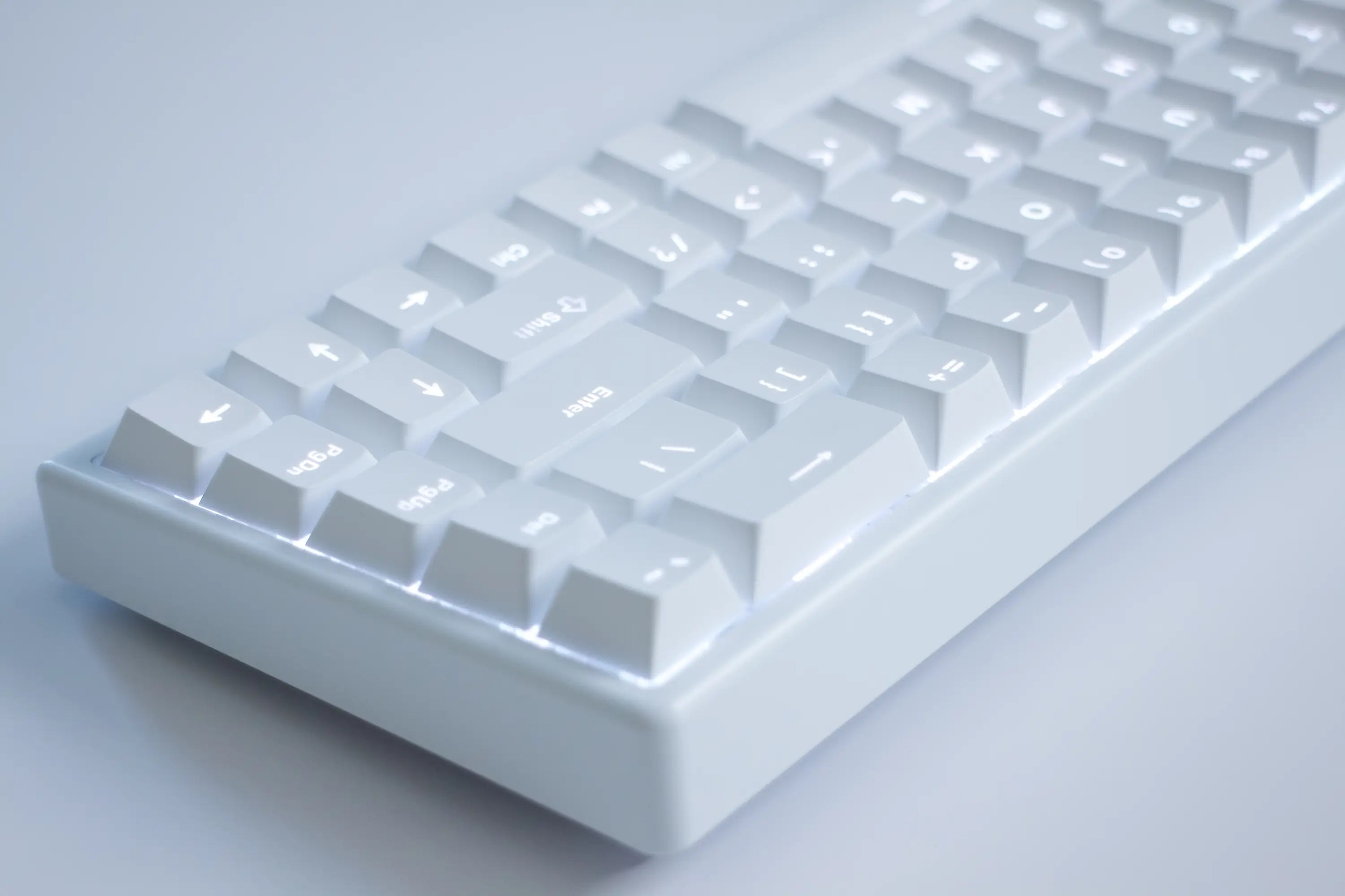 Just_White_Polar_65_-21_webp
