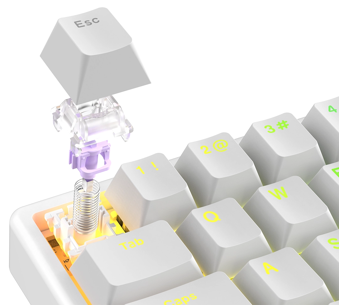Switch_747ed8f3-24ee-44d5-b3bd-ed4894d142a9
