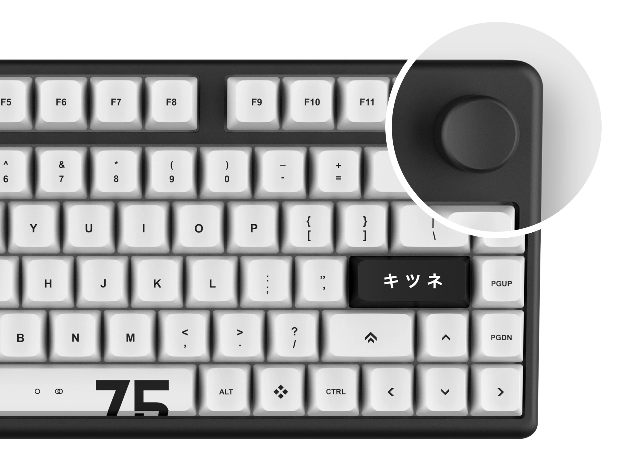 Wheell_v2