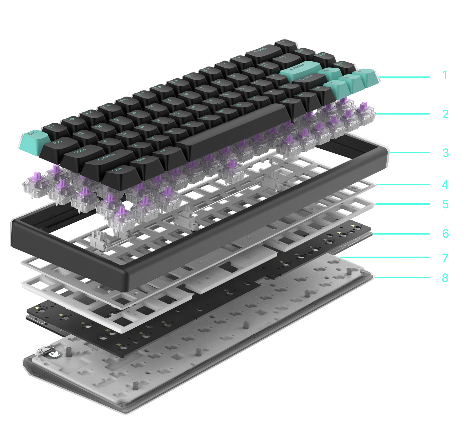 exploded_mint
