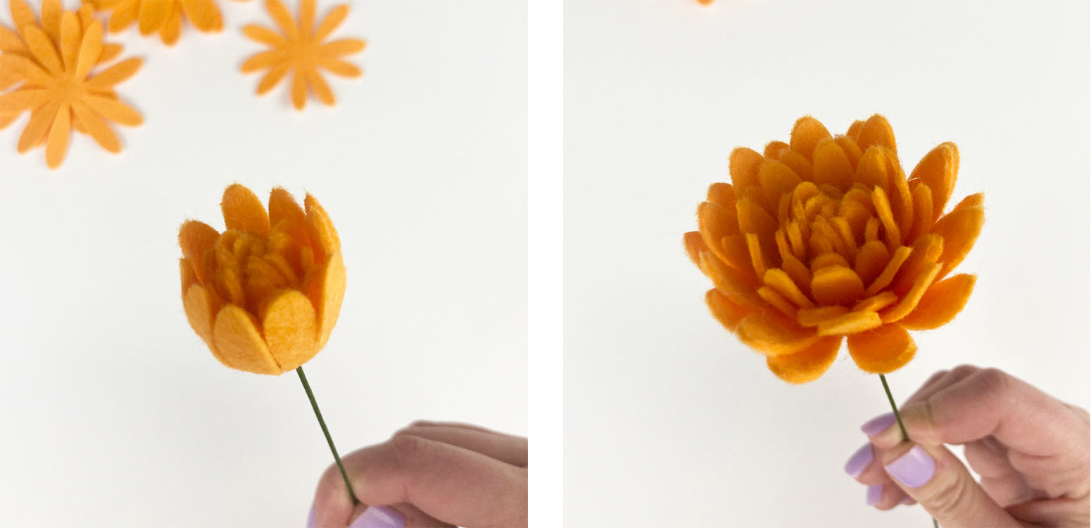 Adding remaining petal layers to stem