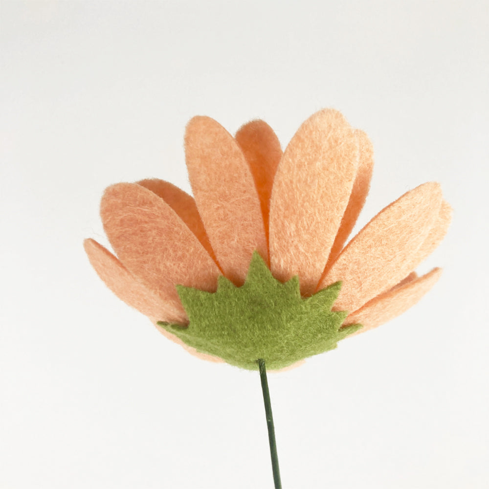 Adding sepal to daisy stem