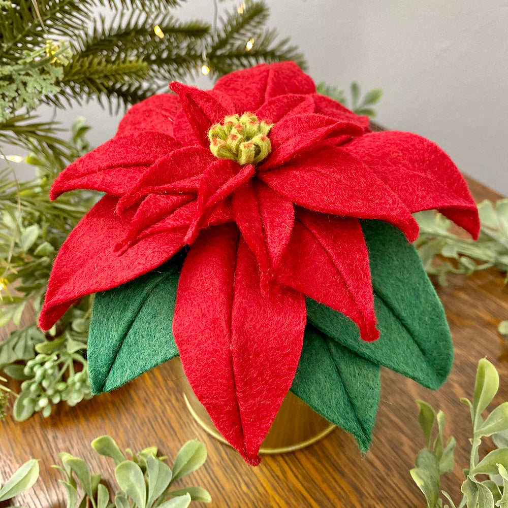 Finished poinsettia