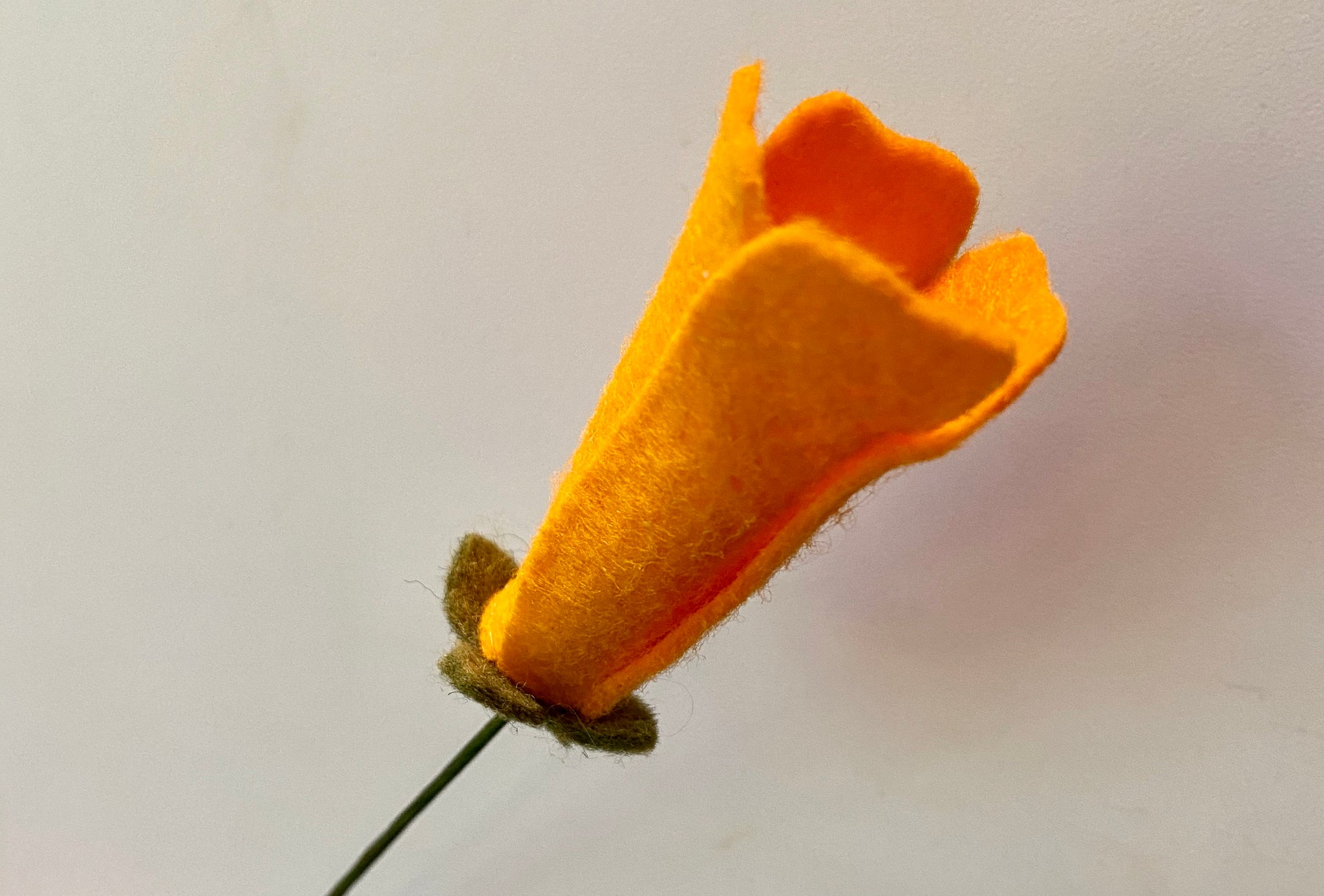 Poppy Figure 10