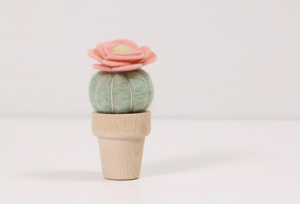 Needle felt a cactus. 