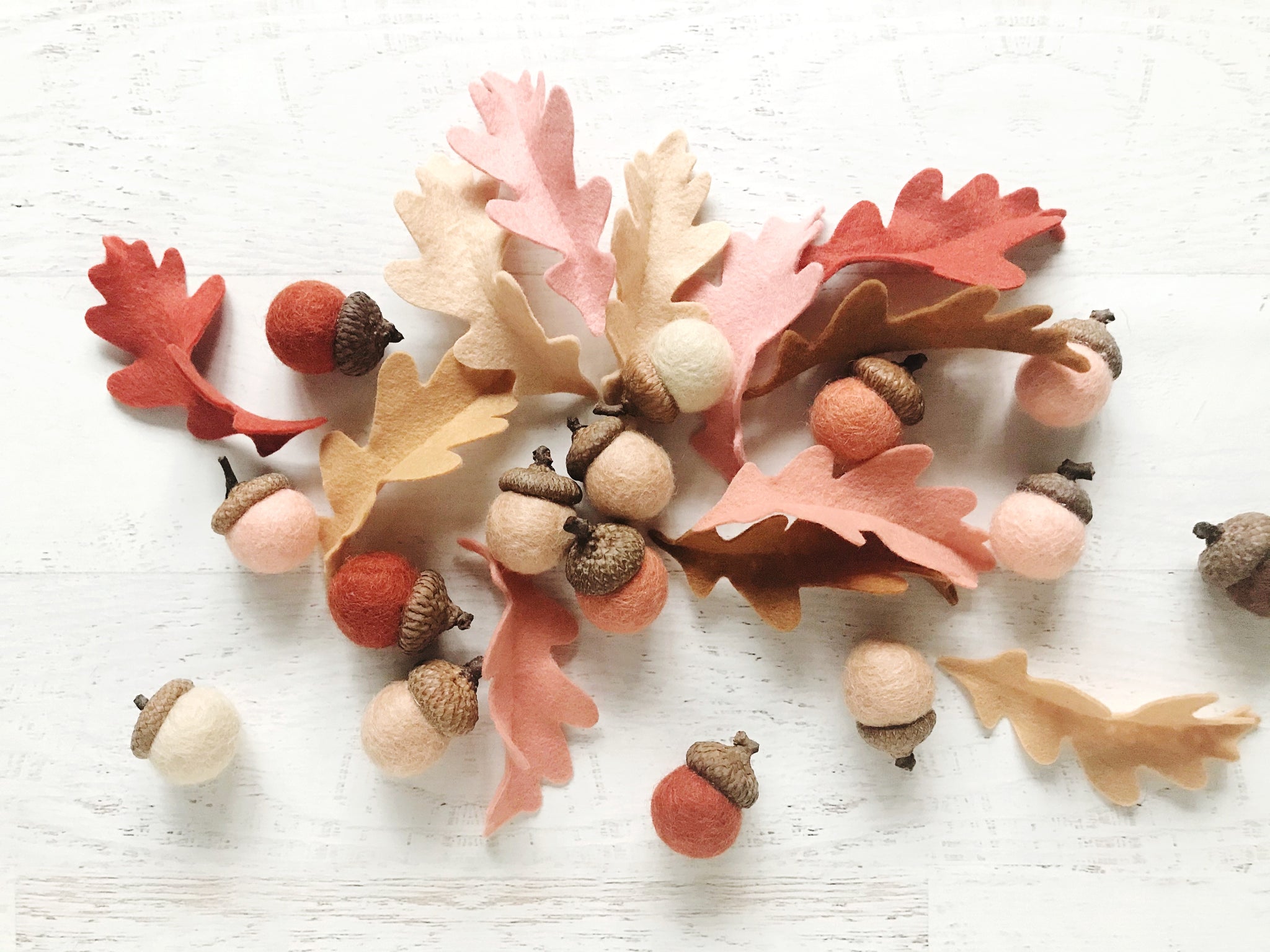 Completed Acorns and Leaves