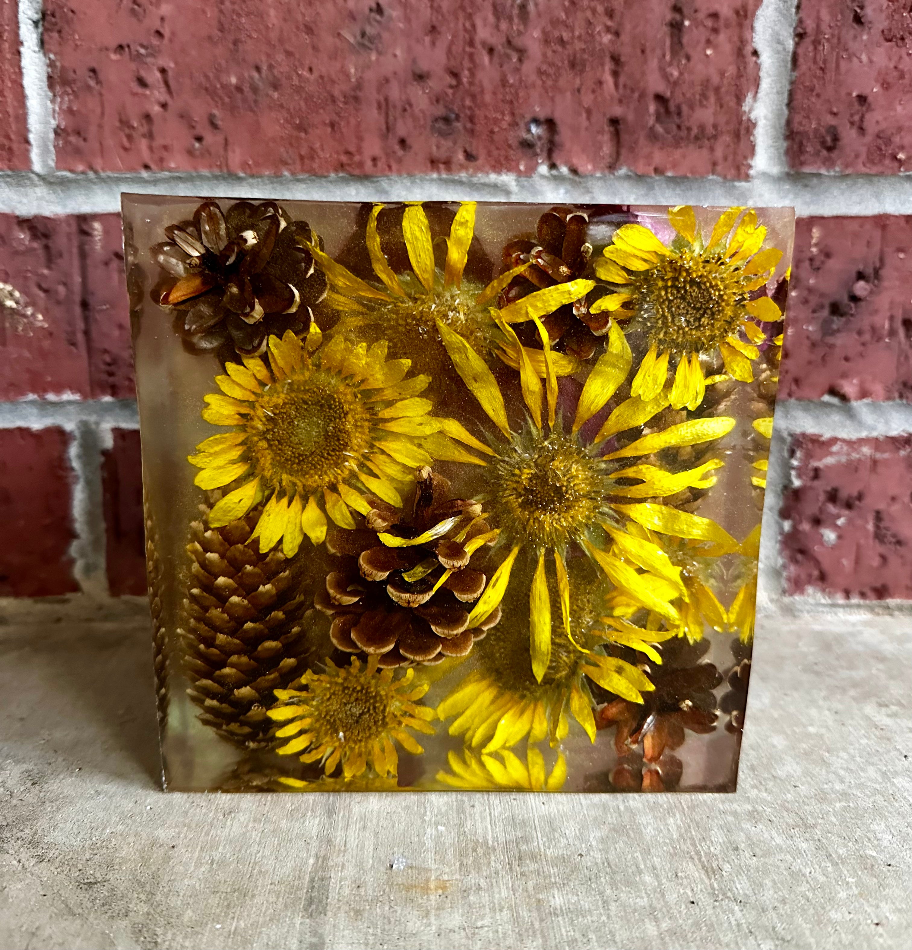Square _ Sunflower & Pinecone